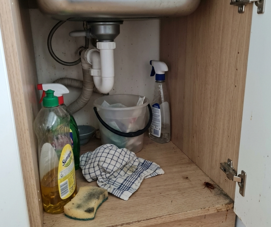 Bawah wastafel tempat persembunyian kecoak